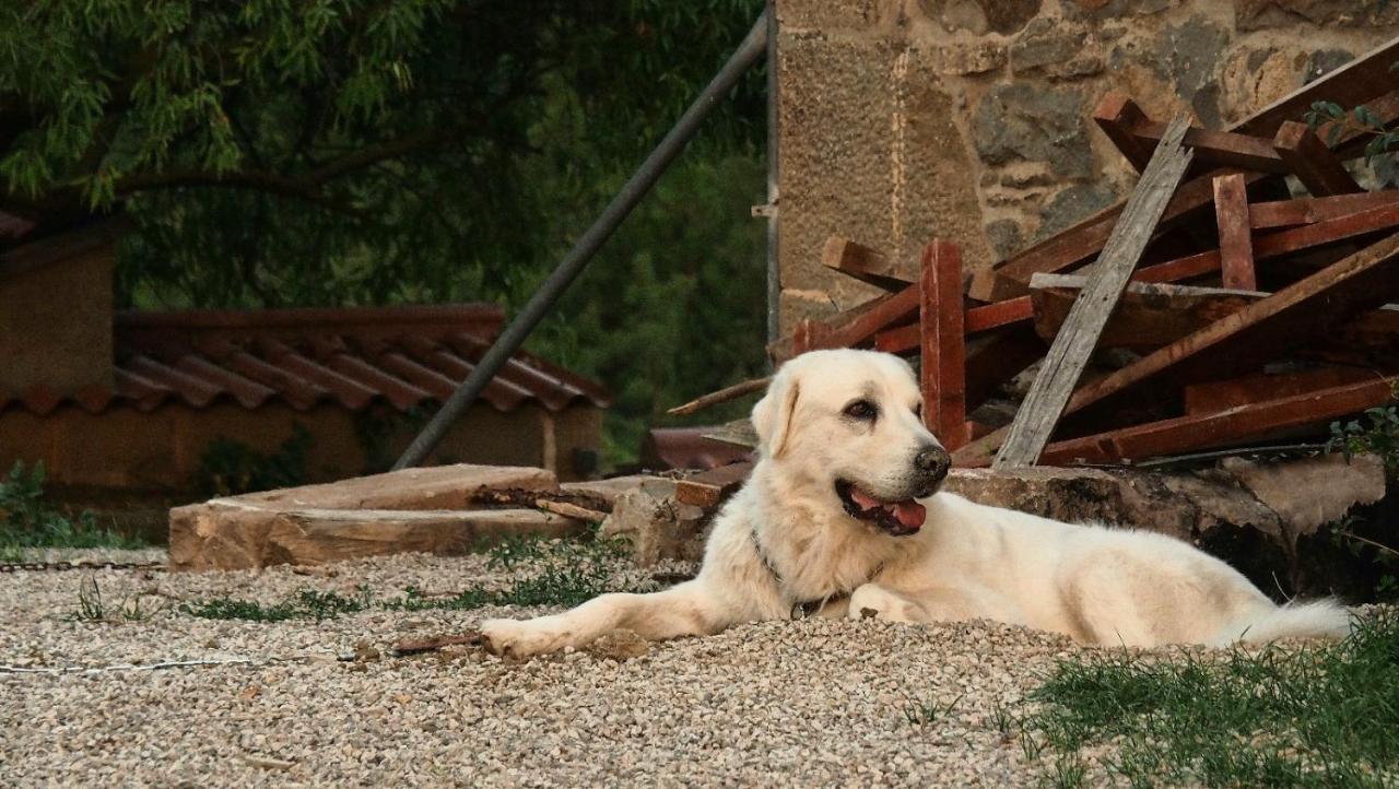 Masia La Clariana Castelltallat Exteriér fotografie